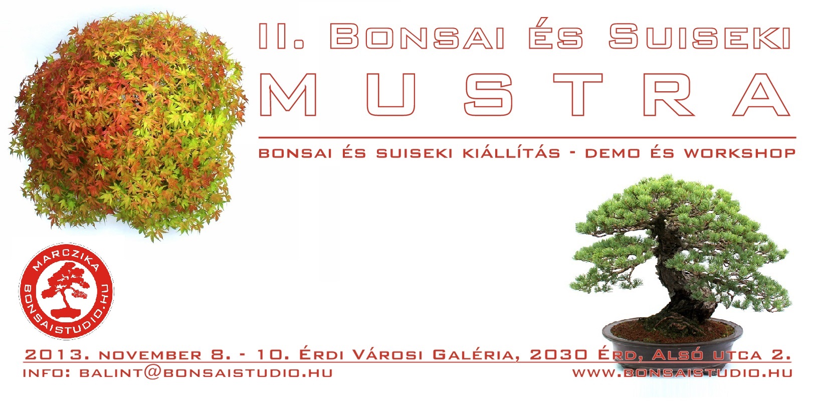 bonsai es suiseki mustra kiallitas demo workshop a marczika bonsai studio rendezvenye
